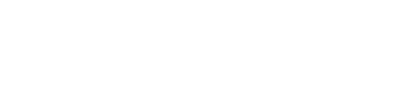 Dubai Electronic Security Center