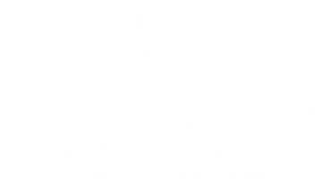 Tech Firm