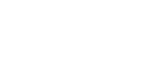 Partner 27