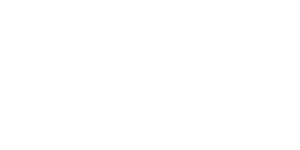 Secure way logo