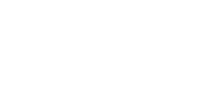 Skyhigh security logo